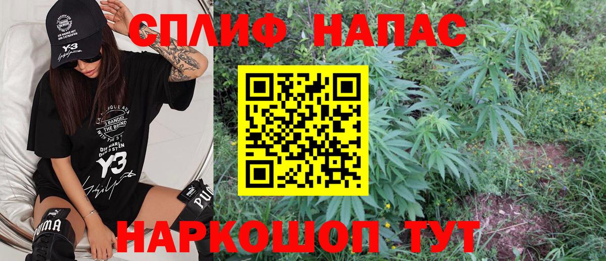 Канабис OG Kush Владикавказ